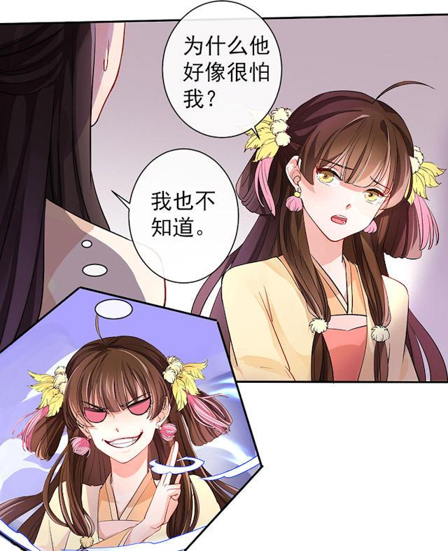 神秘面紗下的真相,最新奇談揭秘真相