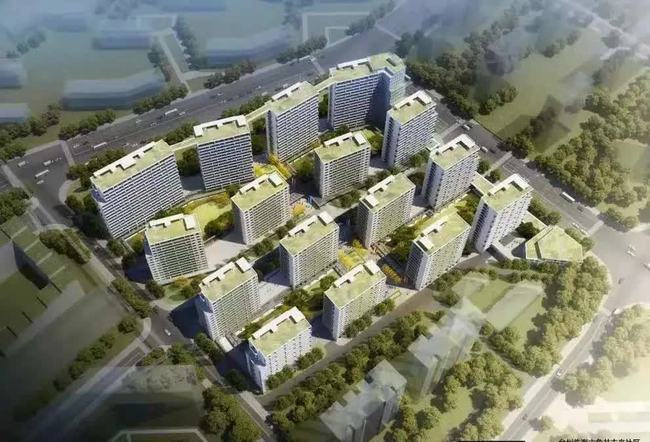 臨海最新動態更新