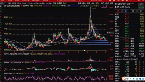 濱化股份股票股吧深度解析投資價值
