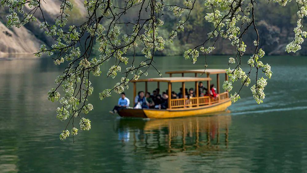 最新放假信息發布通知