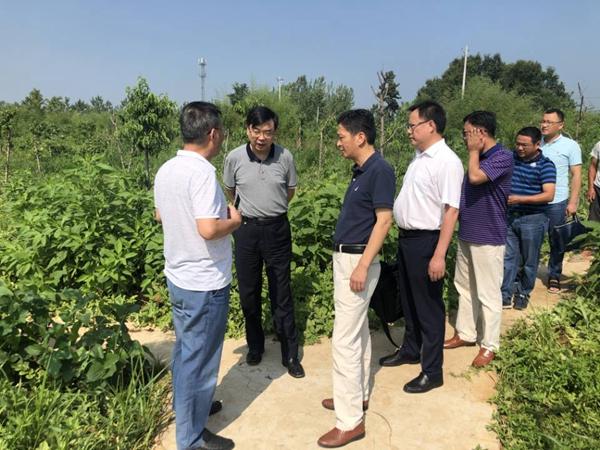 霍邱縣教育局最新公告及觀點論述揭秘