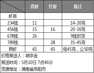 株洲小龍蝦價格行情揭秘，巷弄深處的秘密美食盛宴