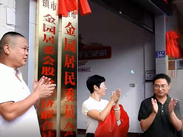 金園股份，高科技領(lǐng)域的璀璨新星——股票投資新選擇