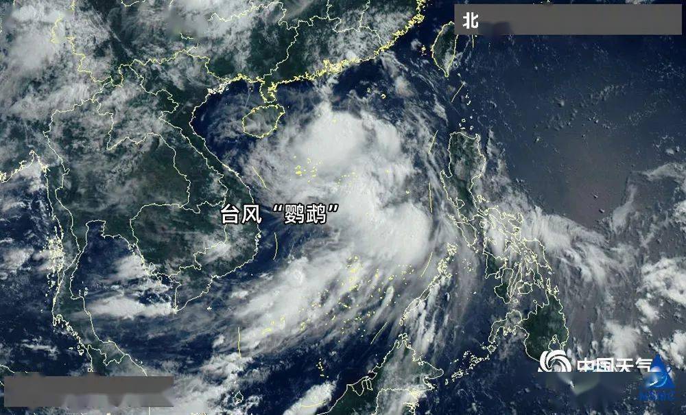 日本臺風最新動態與步驟指南速遞