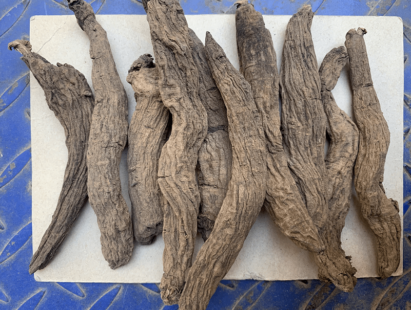 玄參最新行情入門指南，詳解、分析與預測