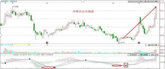 華爾街股票,全球金融中心的魅力投資探索