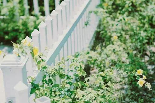 天天薪平臺手續費最新更新資訊