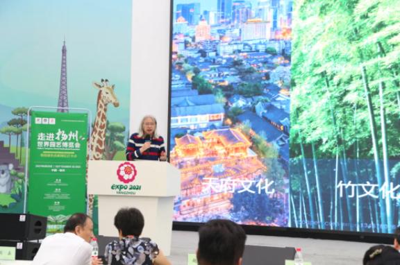 巷弄深處的獨特小店,探索最新資訊與特色環境