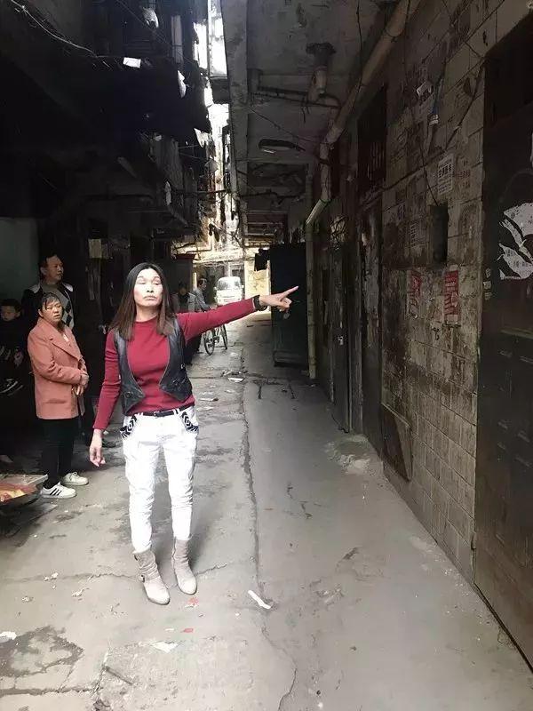 棟王最新作品,逆風(fēng)翱翔,學(xué)習(xí)之路的自信成就之旅