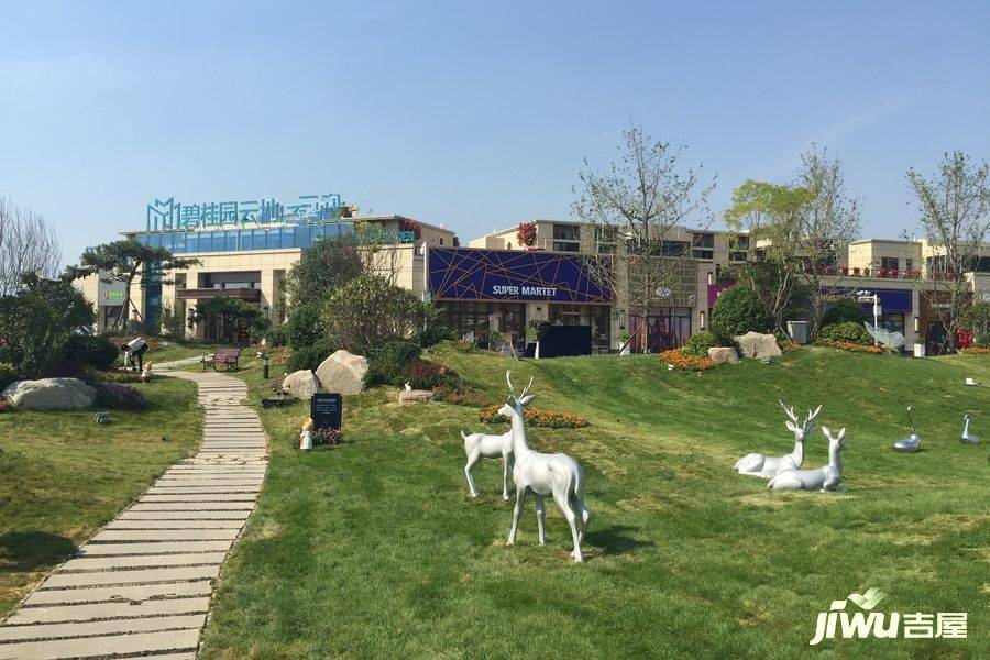 鄒城碧桂園最新動態(tài)深度解讀與剖析