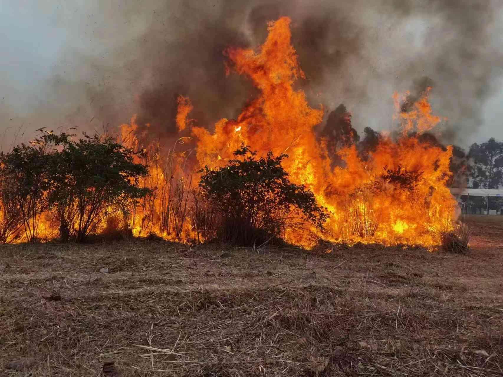 成都火災最新動態與觀點論述分析