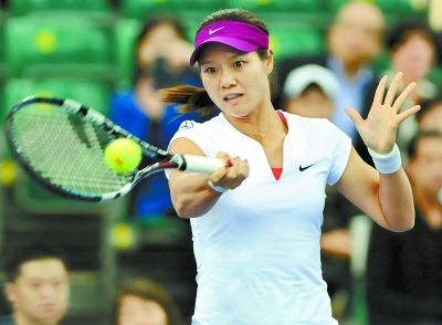 李娜網(wǎng)球傳奇,從崛起至輝煌成就的輝煌之旅