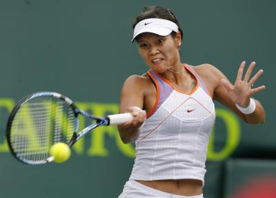 李娜網(wǎng)球傳奇,從崛起至輝煌成就的輝煌之旅