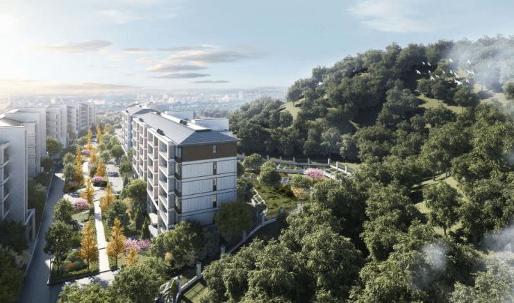 最新巴中北辰風采,科技之光照亮生活,風采因你而變