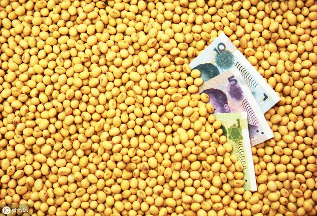 新黃豆上市時間解析,了解新黃豆上市的時間表