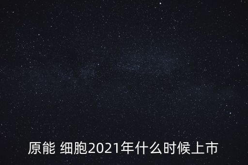 原能細胞上市，小巷中的神秘寶藏探索，特色小店的未知之旅