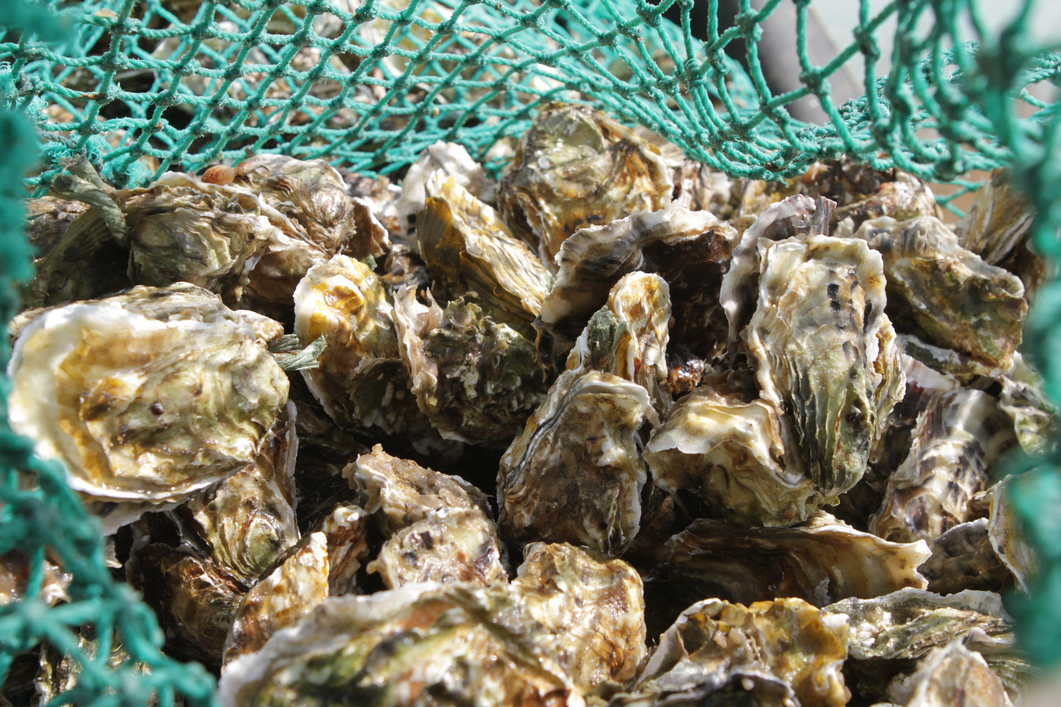 東莞壓鑄環評 第74頁