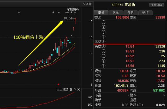 武昌魚重組最新動態(tài),一條魚的奇妙旅程與友情的重生之旅