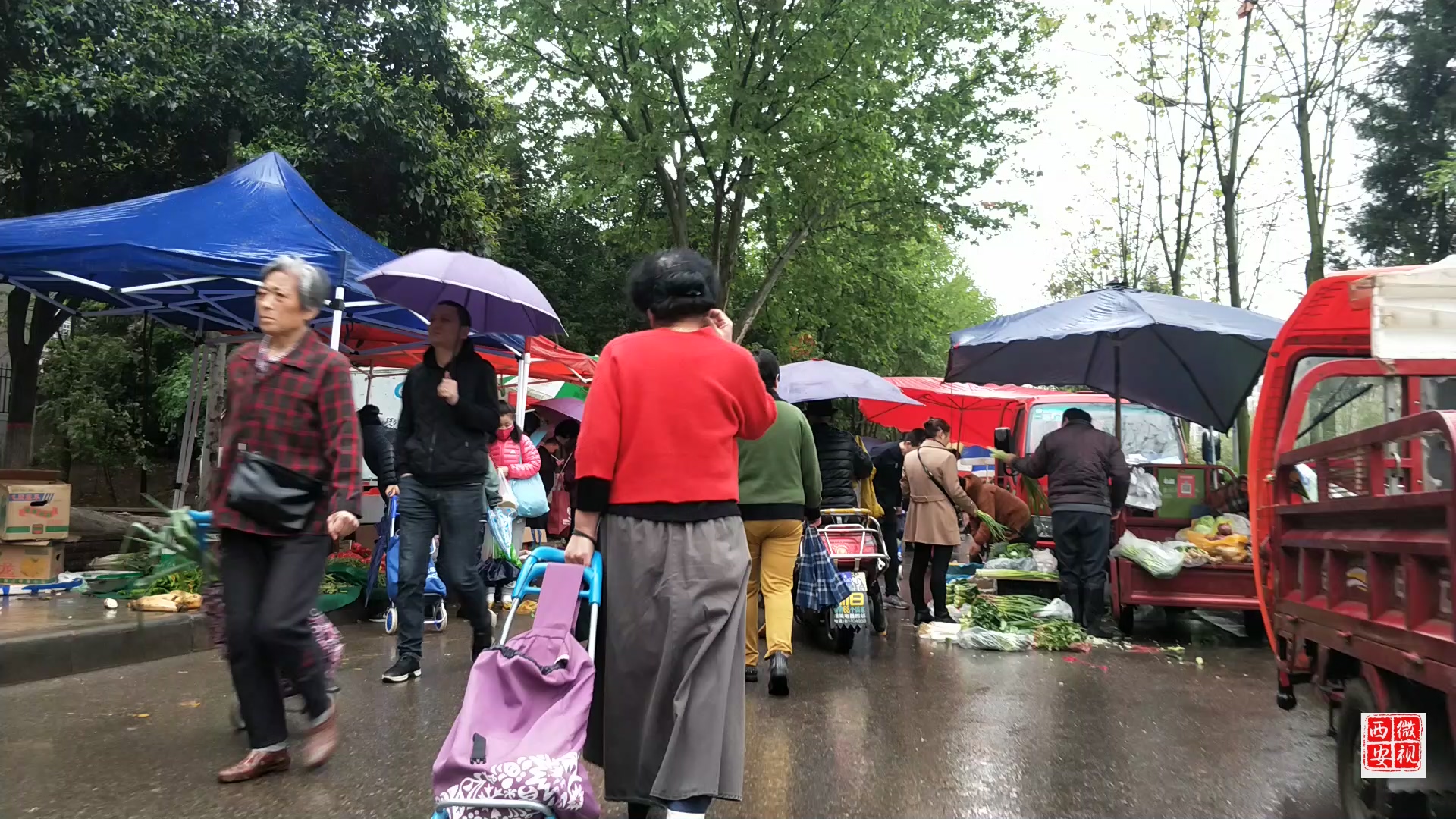 東儀路市場動態,巷弄深處的獨特風味探索