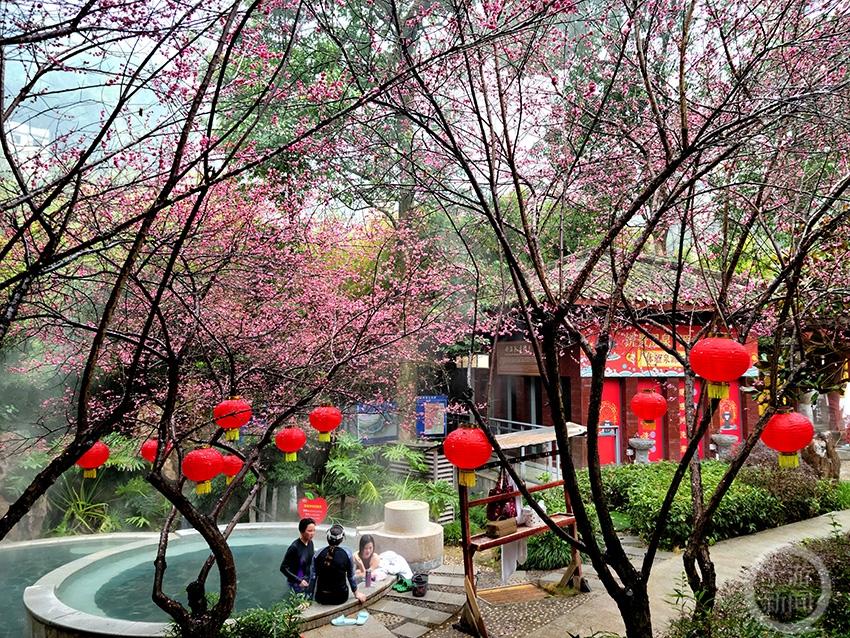 ??最新征稿主題火熱開啟,等你來參與!