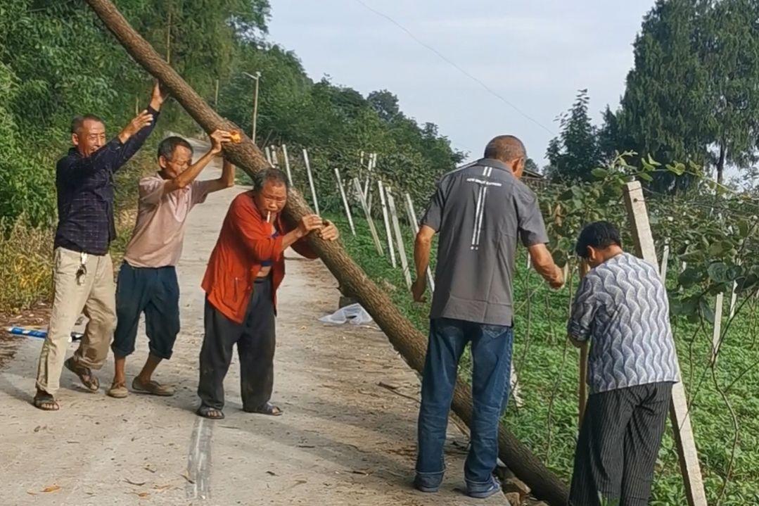 共享經(jīng)濟上市公司的崛起、挑戰(zhàn)與觀點探析