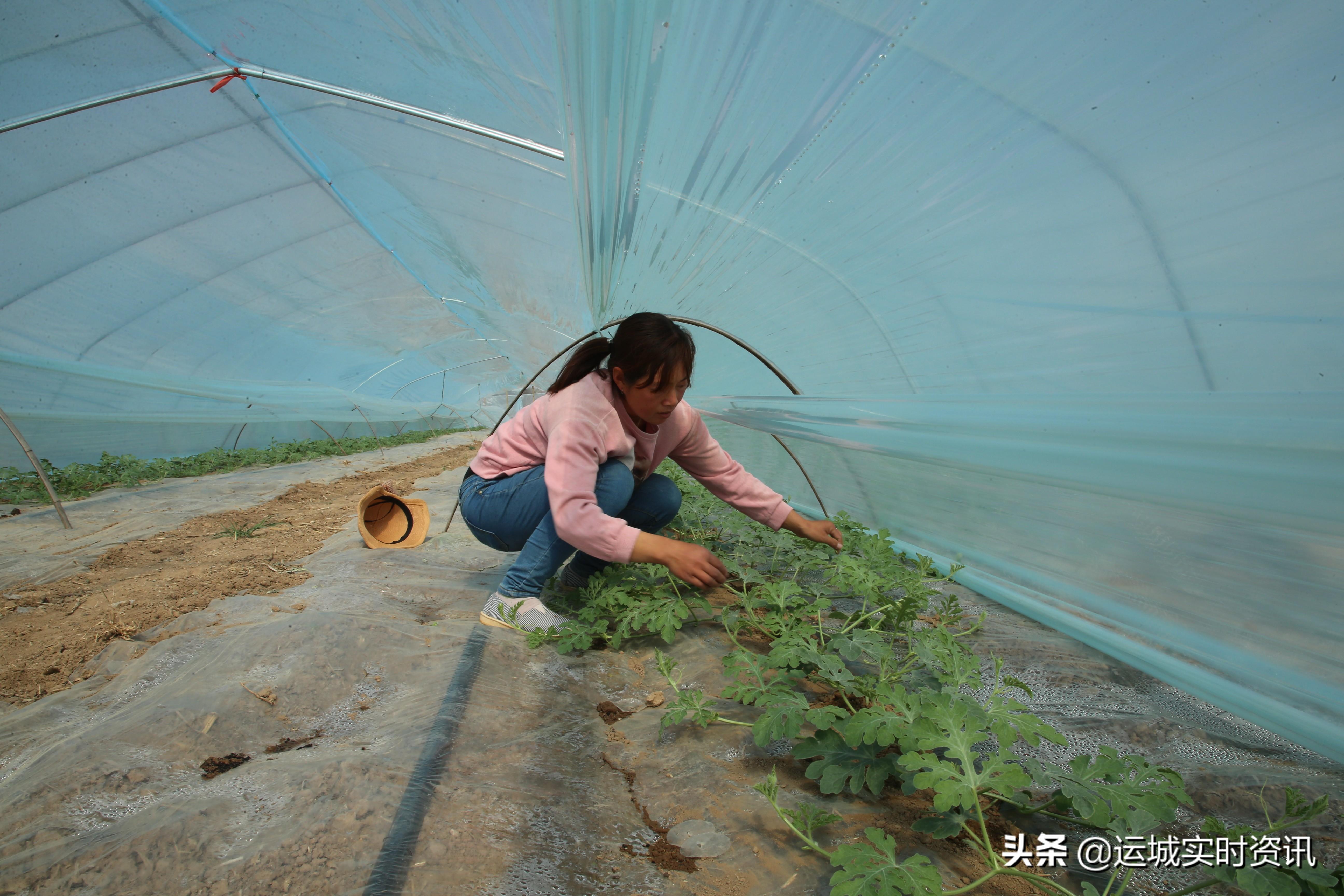 水頭最新資訊,探索自然美景之旅,尋找內(nèi)心平和與寧?kù)o的旅程