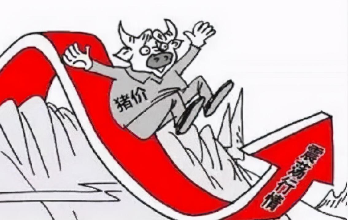 今年生豬行情展望，探尋生態(tài)平衡與內(nèi)心平靜的旅程