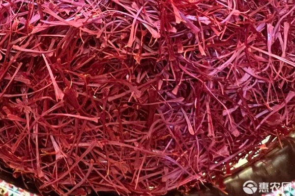 全面解析西紅花市場行情,價格走勢及每克價格一覽