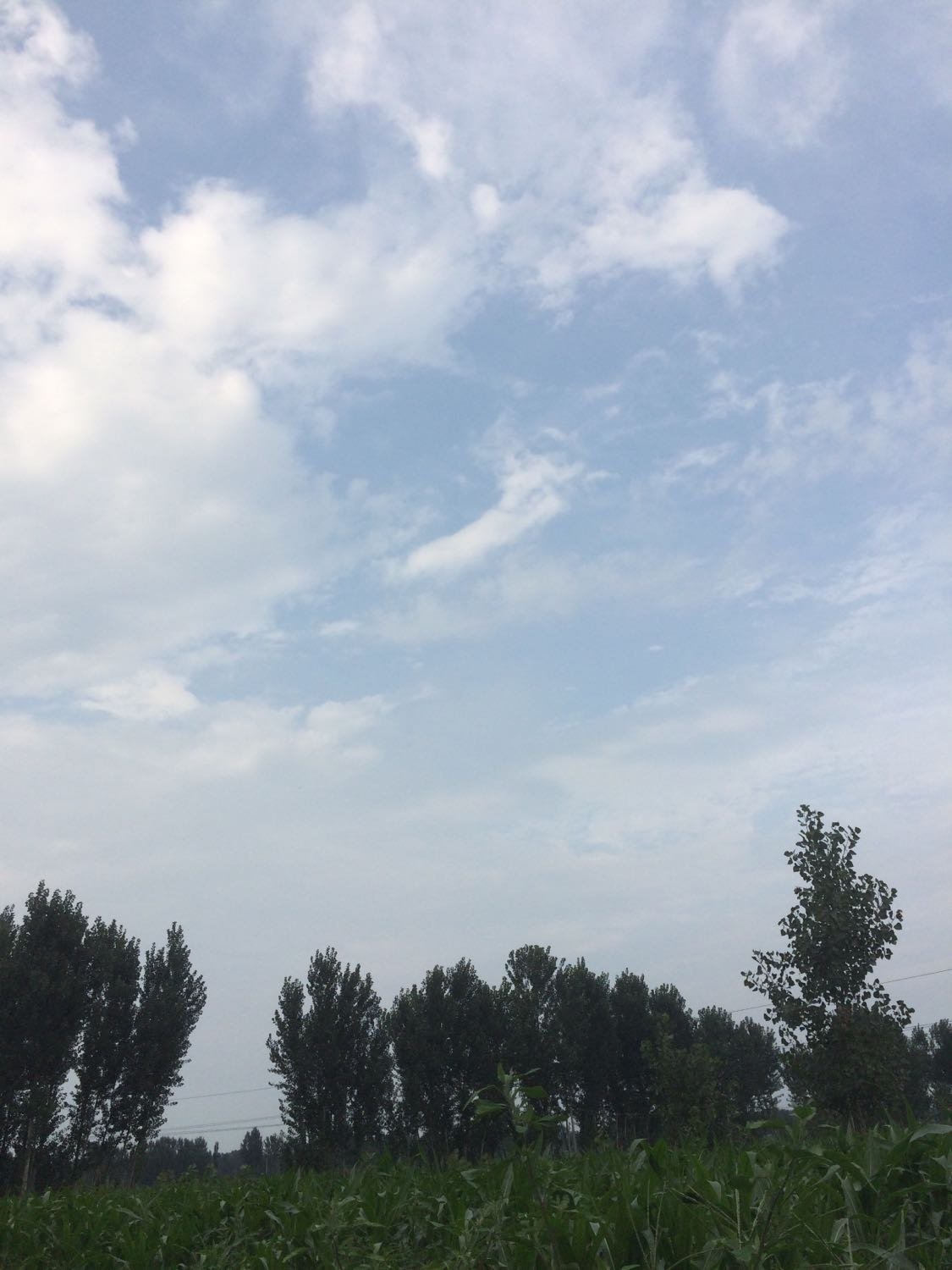 辛集最新天氣預報，多變陽光照亮學習之路