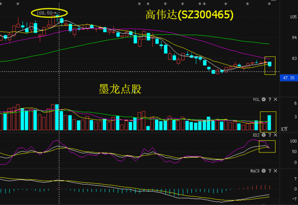 高偉達最新動態,變化中的力量,學習鑄就自信與成就之路