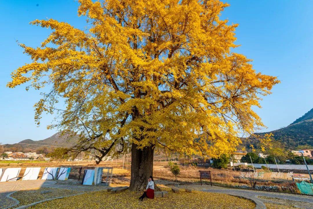 陽山最新資訊，溫馨日常與美好時光的記錄