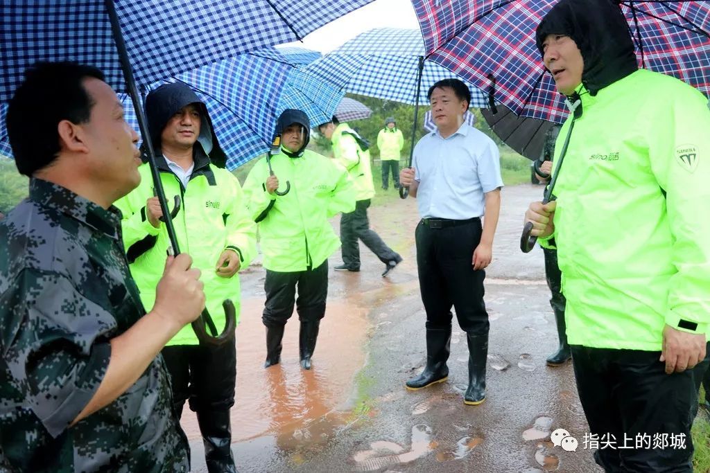 郯城事件最新動態(tài),小巷深處的獨特小店揭秘