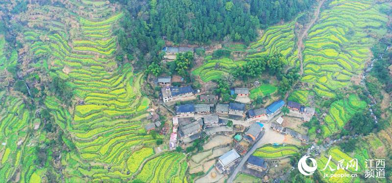 南昌灣里牛嶺最新動態與溫馨日常