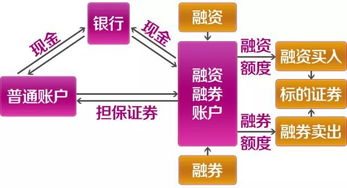 股票融資之旅,智慧與友情的交織日常故事