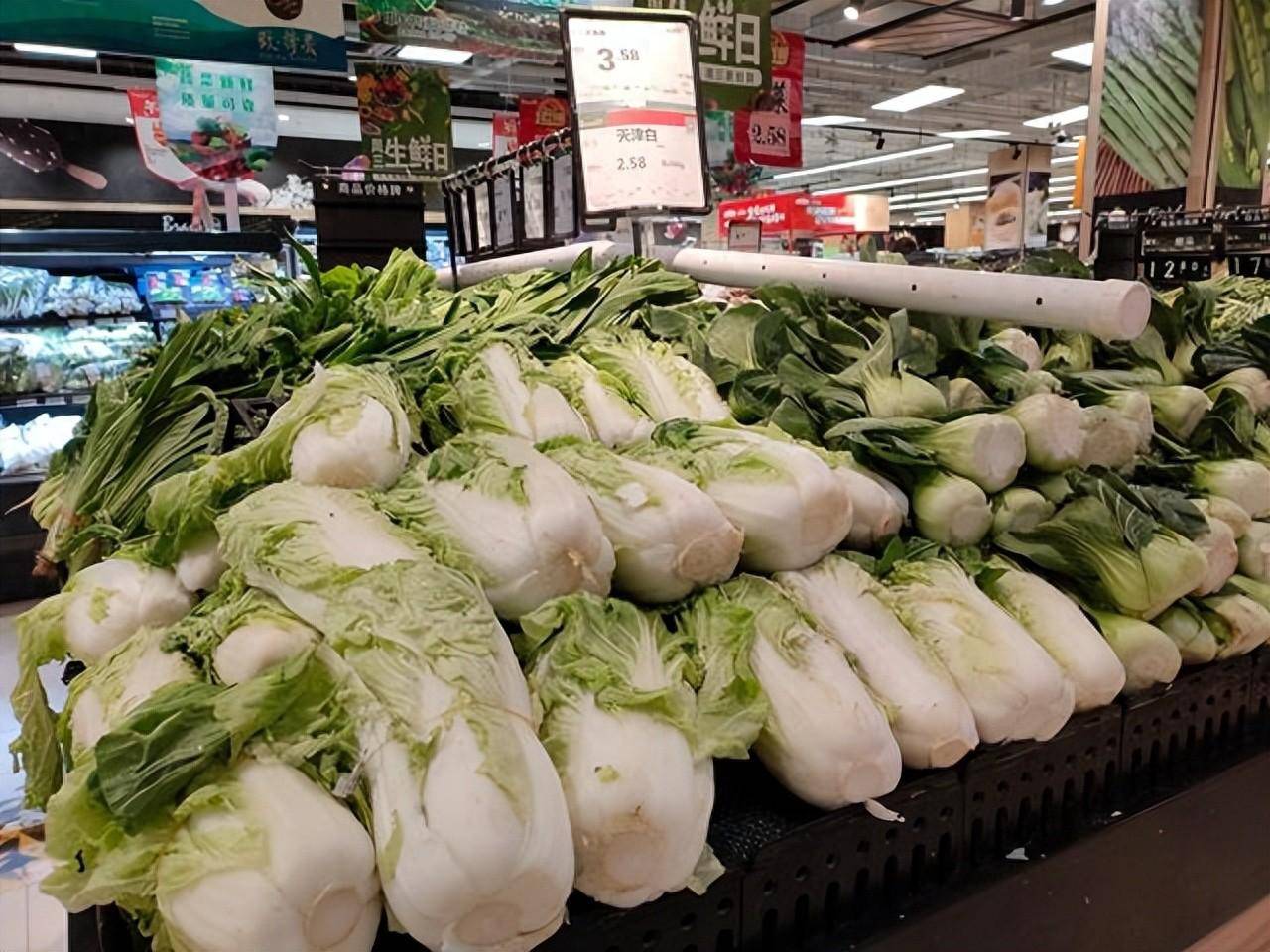 白菜批發市場價格動態，自然美景背后的市場波動與旅行體驗之旅