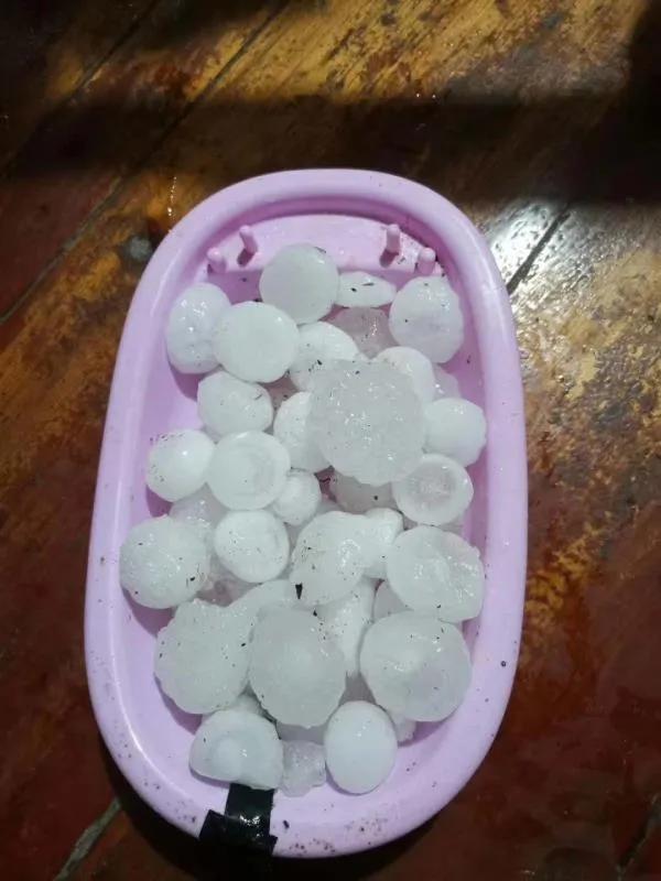 貴州雞蛋價格最新行情及分析報告