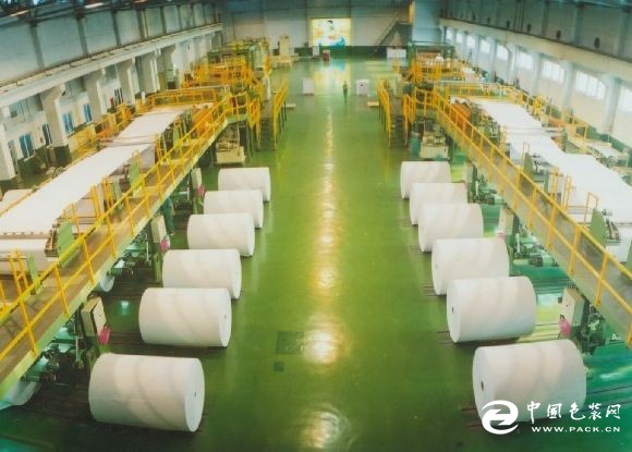 晨鳴紙業(yè)最新動態(tài)，深度洞察行業(yè)內(nèi)的觀點與分析