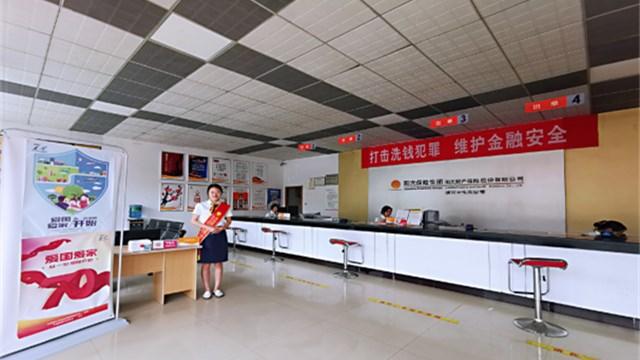 陽(yáng)光保險(xiǎn)股票投資前景及市場(chǎng)動(dòng)態(tài)分析