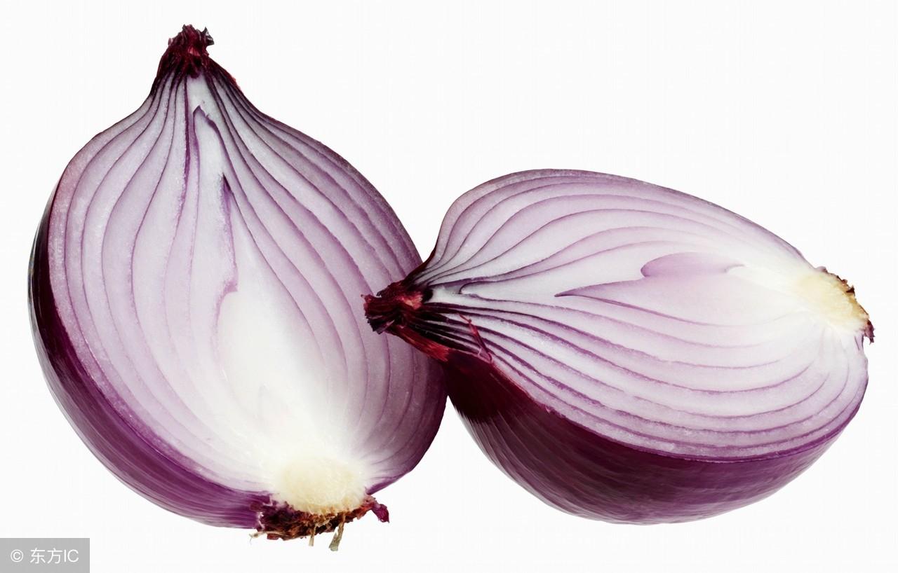 全國洋蔥行情，一顆洋蔥的成長與勵志故事相伴相隨