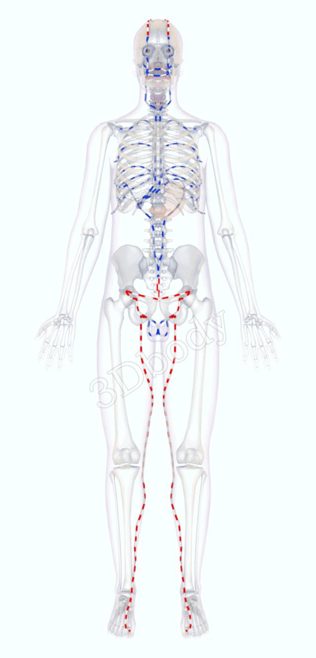 股票走勢圖軟件，點亮投資之路，助您成為股市明星