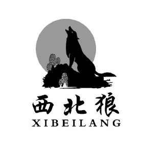 西北狼最新步驟指南,完成任務(wù)與學(xué)習(xí)技能的實用步驟指南