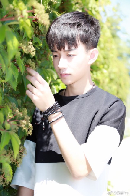 蘇易最新探索之旅,自然美景中的心靈尋覓與平和之境