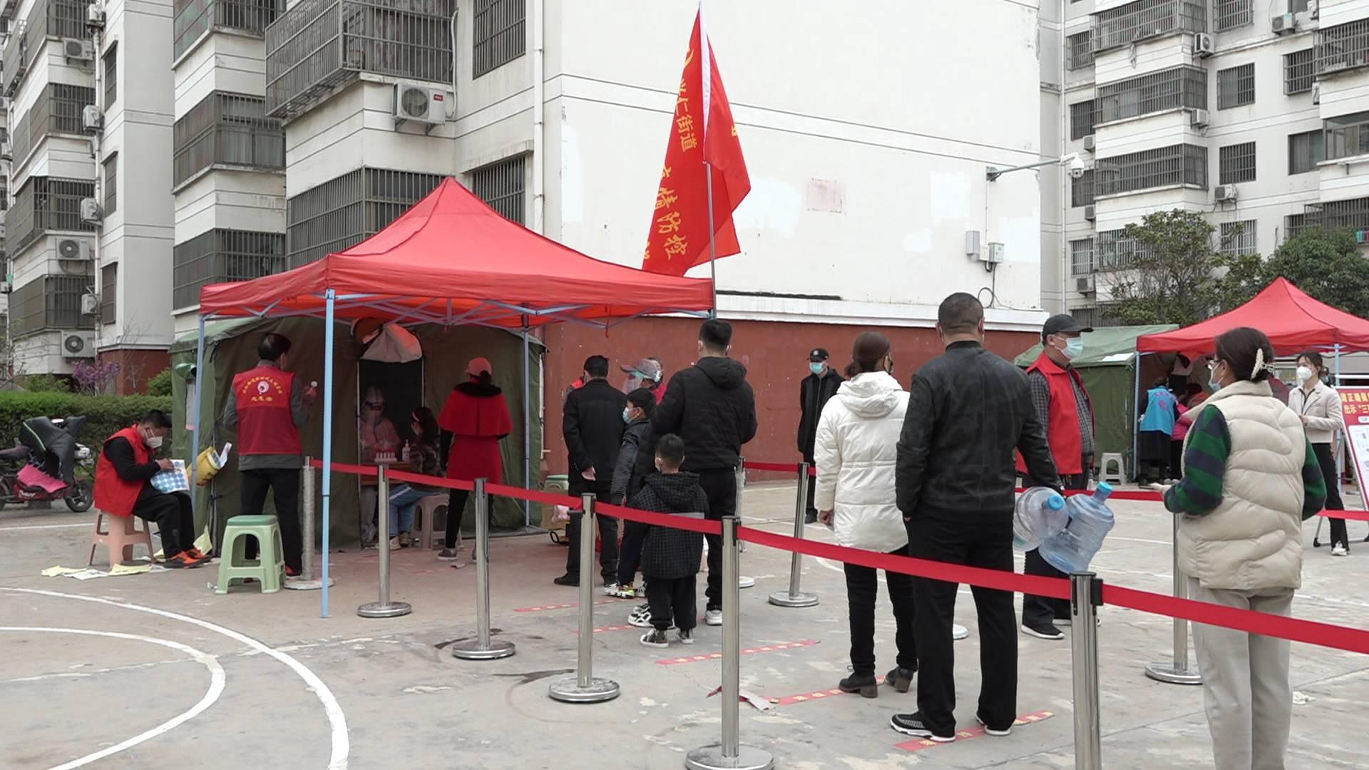 棗莊疫情最新動態，自然探索之旅尋求內心平和