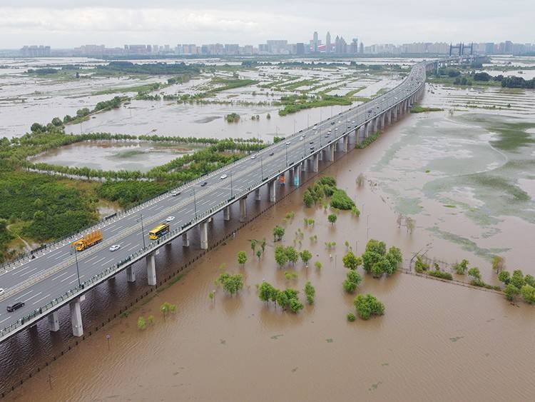 哈爾濱洪水最新動態,多方觀點分析與個人立場表述