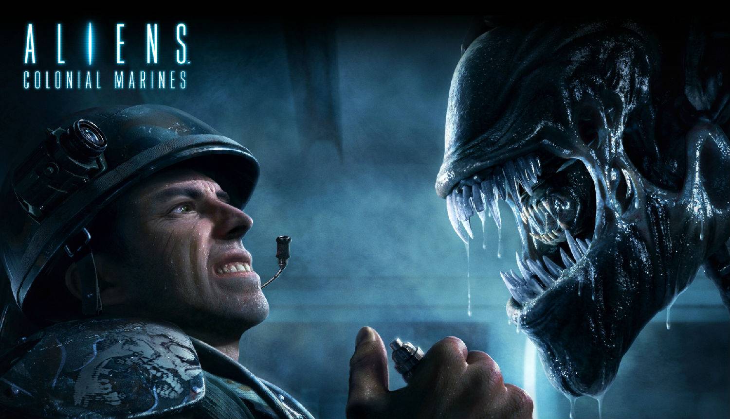 最新異形電影探索自然美景之旅,尋找內(nèi)心的平靜之旅