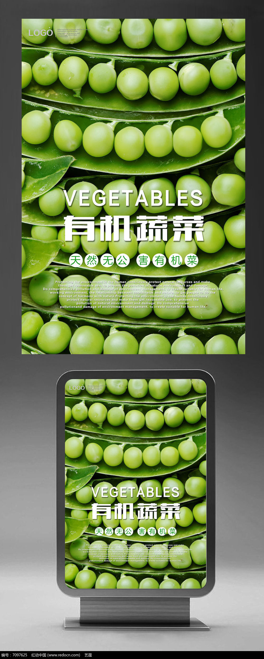 扁豆最新報價，市場走勢分析與選購指南