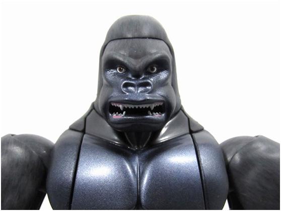 金剛猩猩最新研究動態與重大發現概述