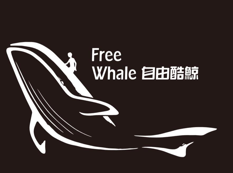 最新自由鯨,小巷中的隱秘瑰寶探秘