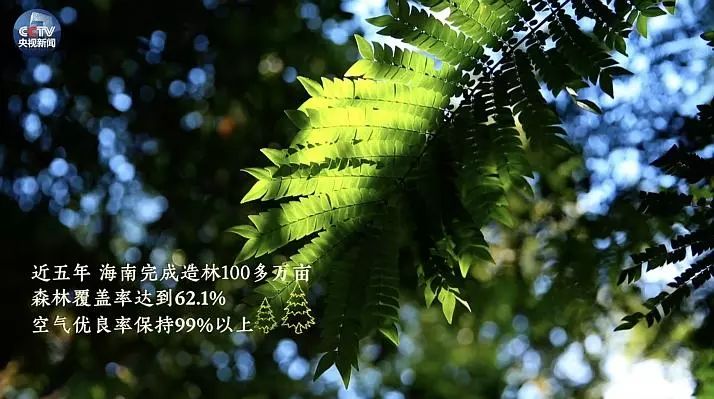 最新鮮自然之旅，一場絕美風景的沉浸式體驗