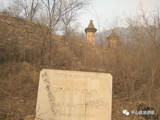 最新唐墓,歷史長河中的璀璨明珠